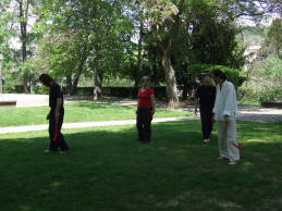 Tai Chi Chuan sur l'herbe, un dimanche